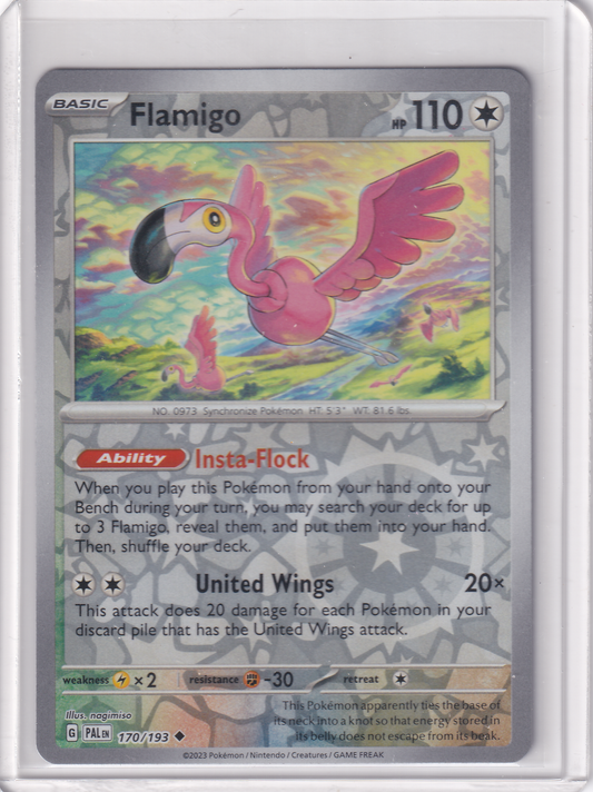 #170 Flamigo