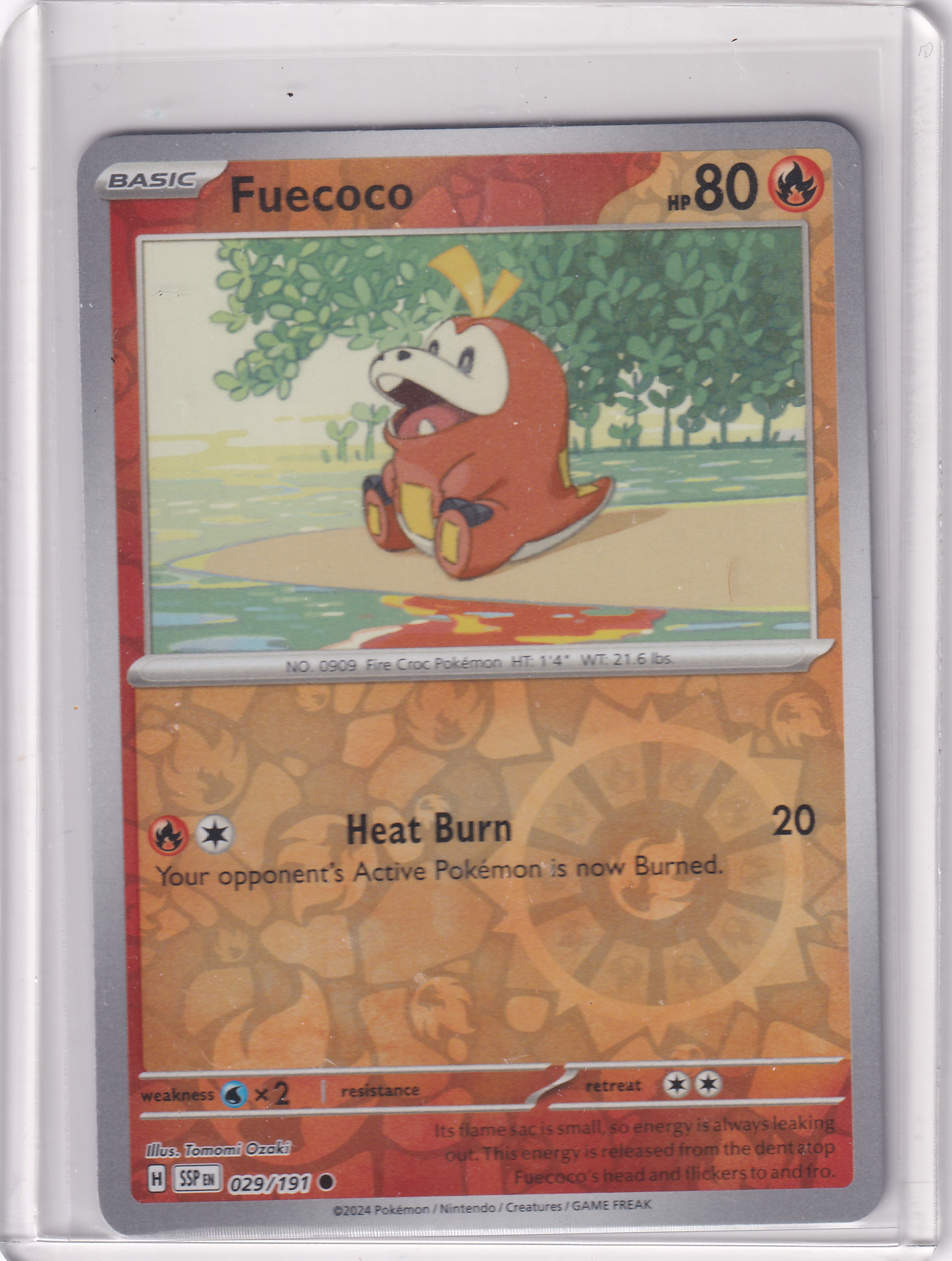 #029 Fuecoco