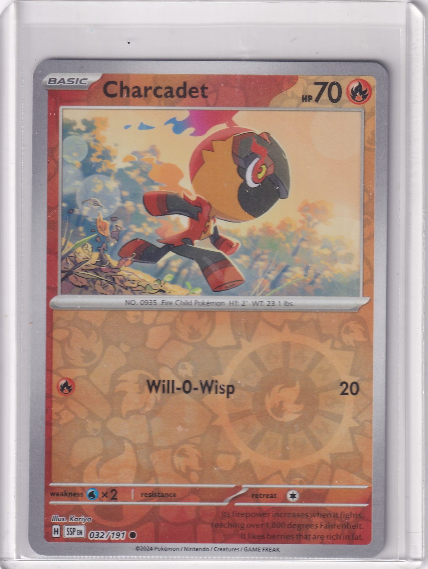 #032 Charcadet