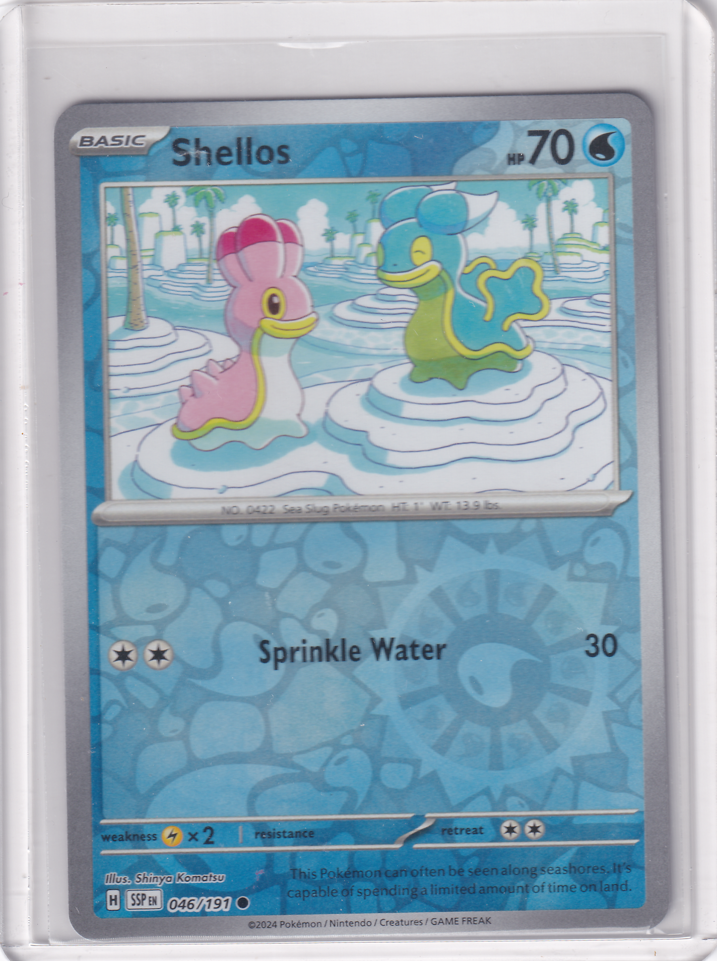 #046 Shellos