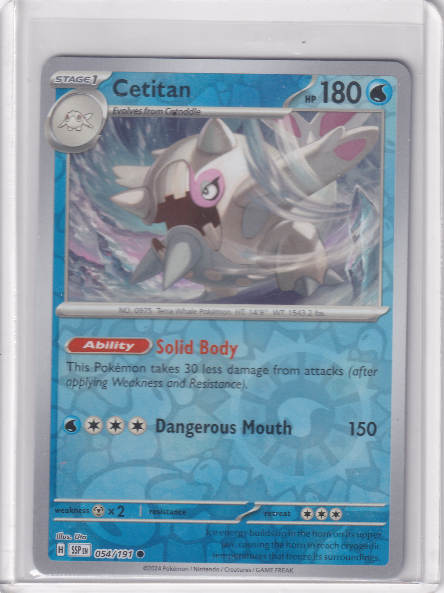 #054 Cetitan