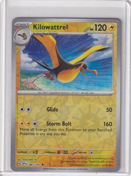#067 Kilowattrel