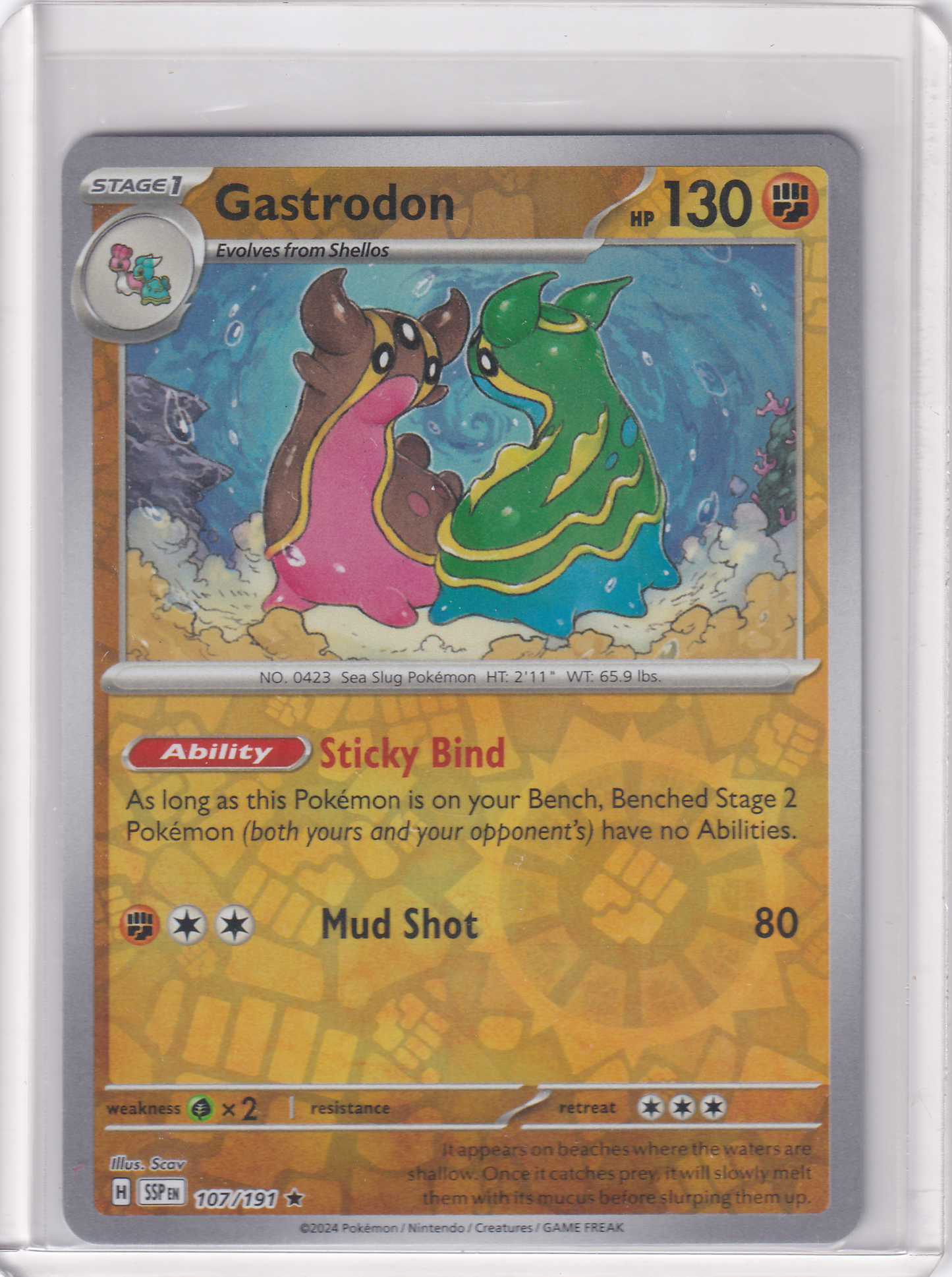 #107 Gastrodon