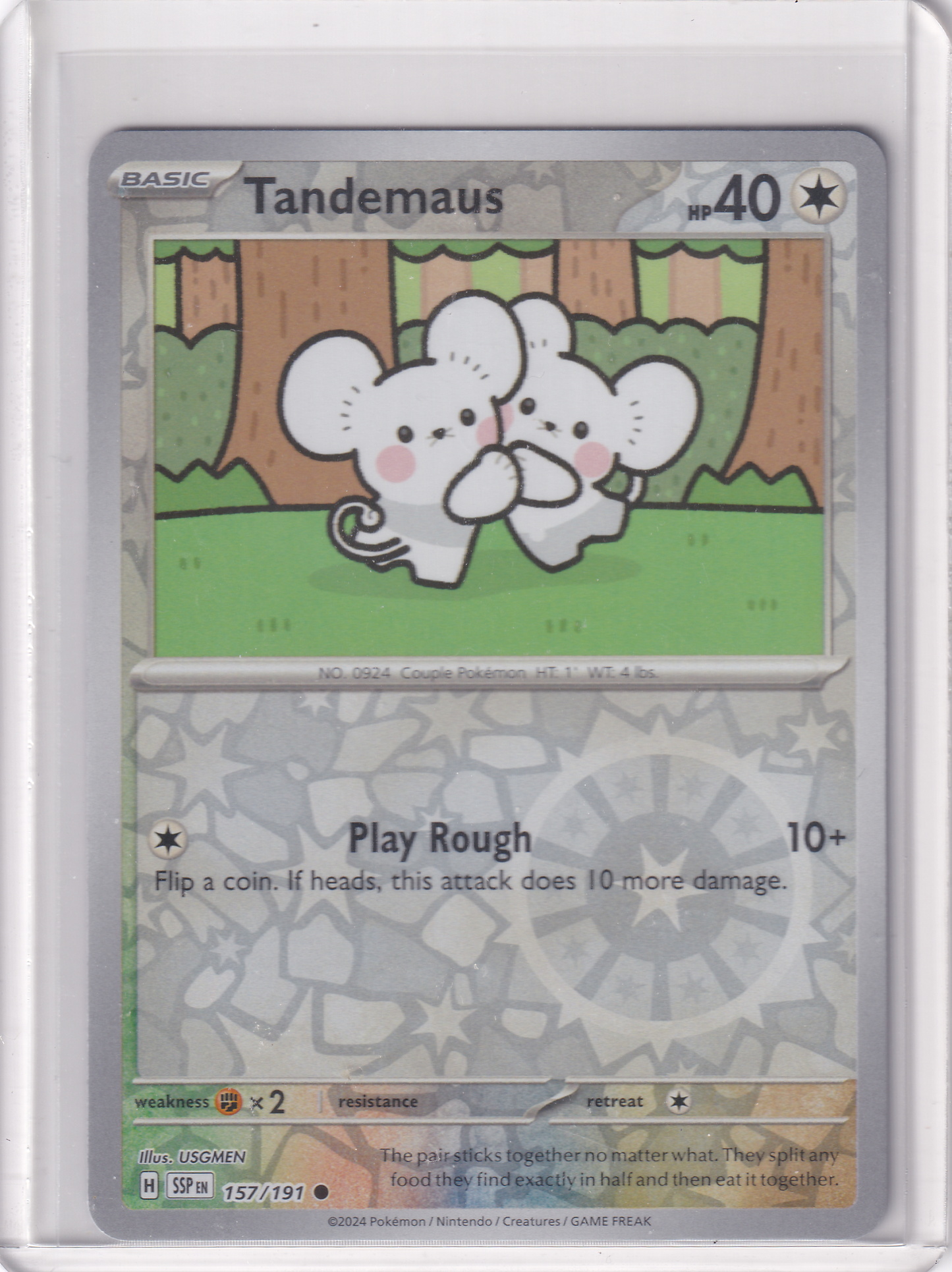 #157 Tandemaus