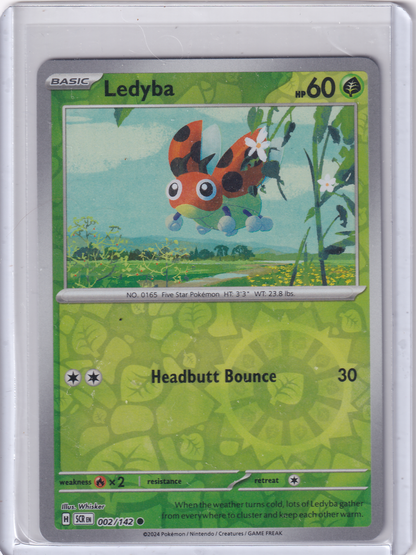 #002 Ledyba