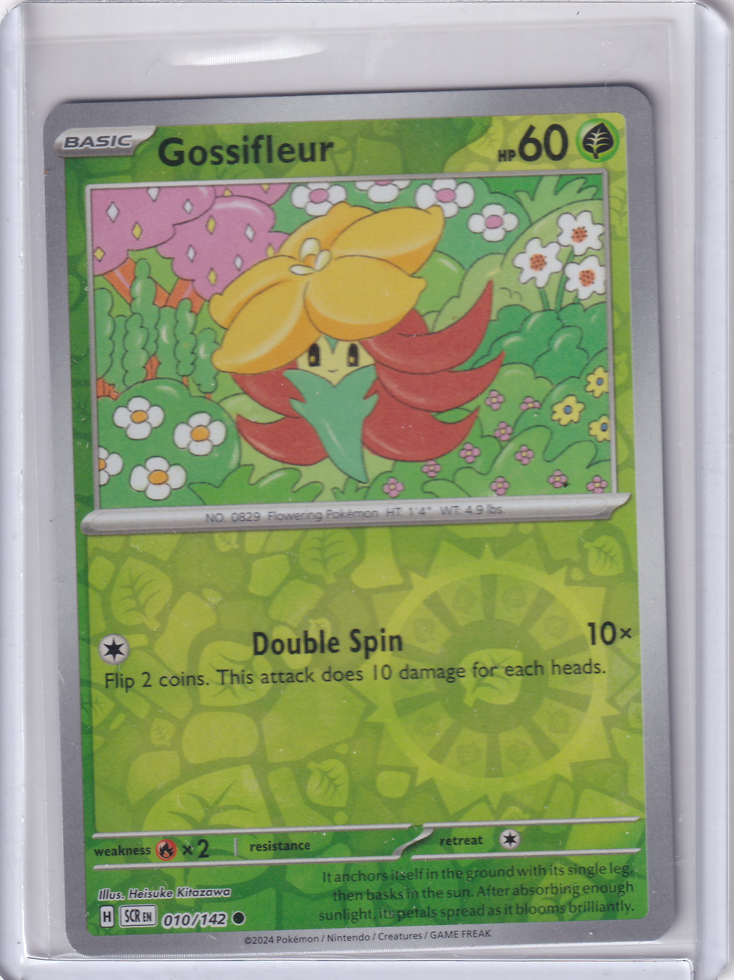 #010 Gossifleur