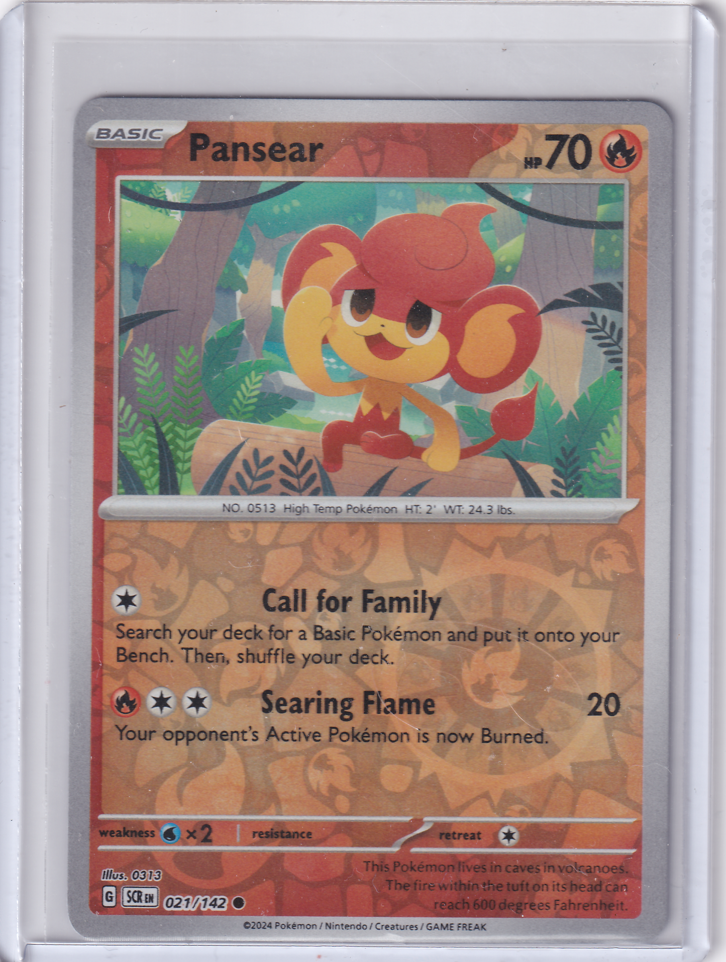 #021 Pansear