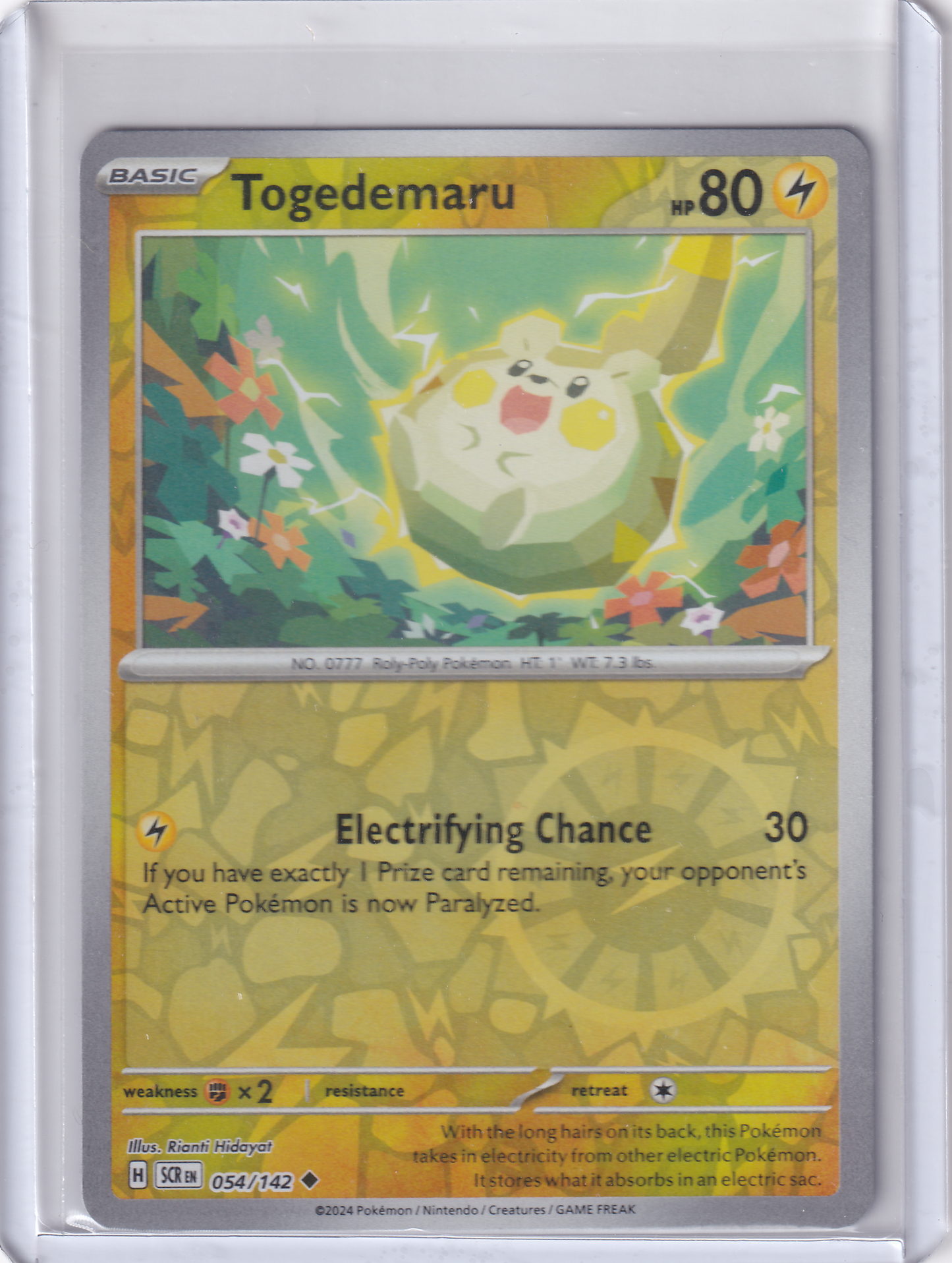 #054 Togedemaru
