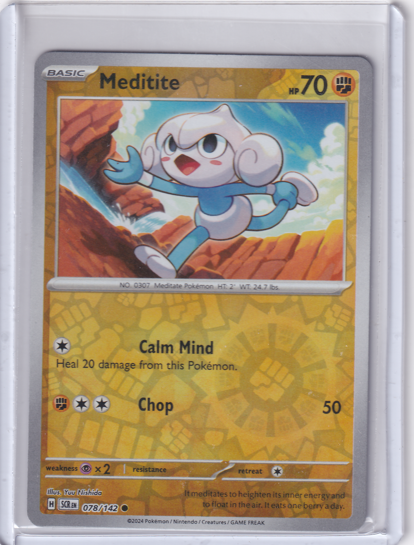 #078 Meditite