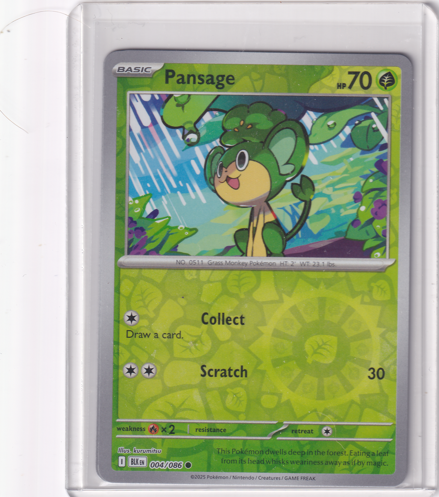 #004 Pansage
