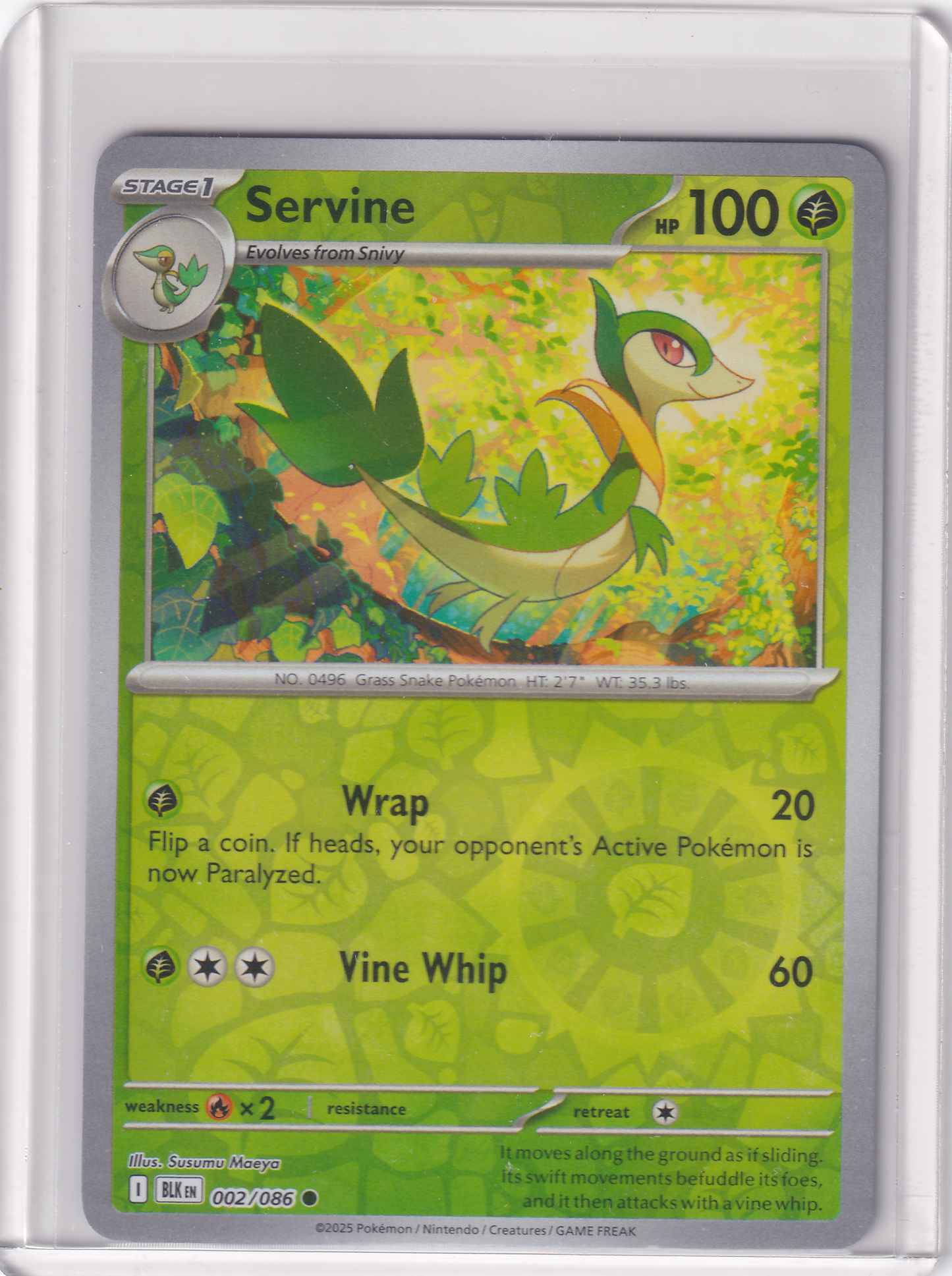 #002 Servine