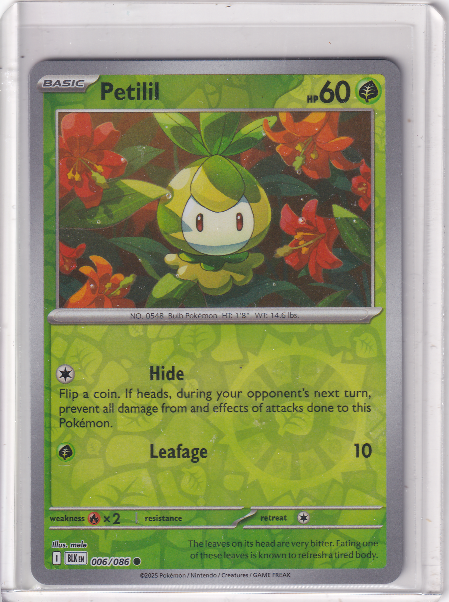#006 Petilil