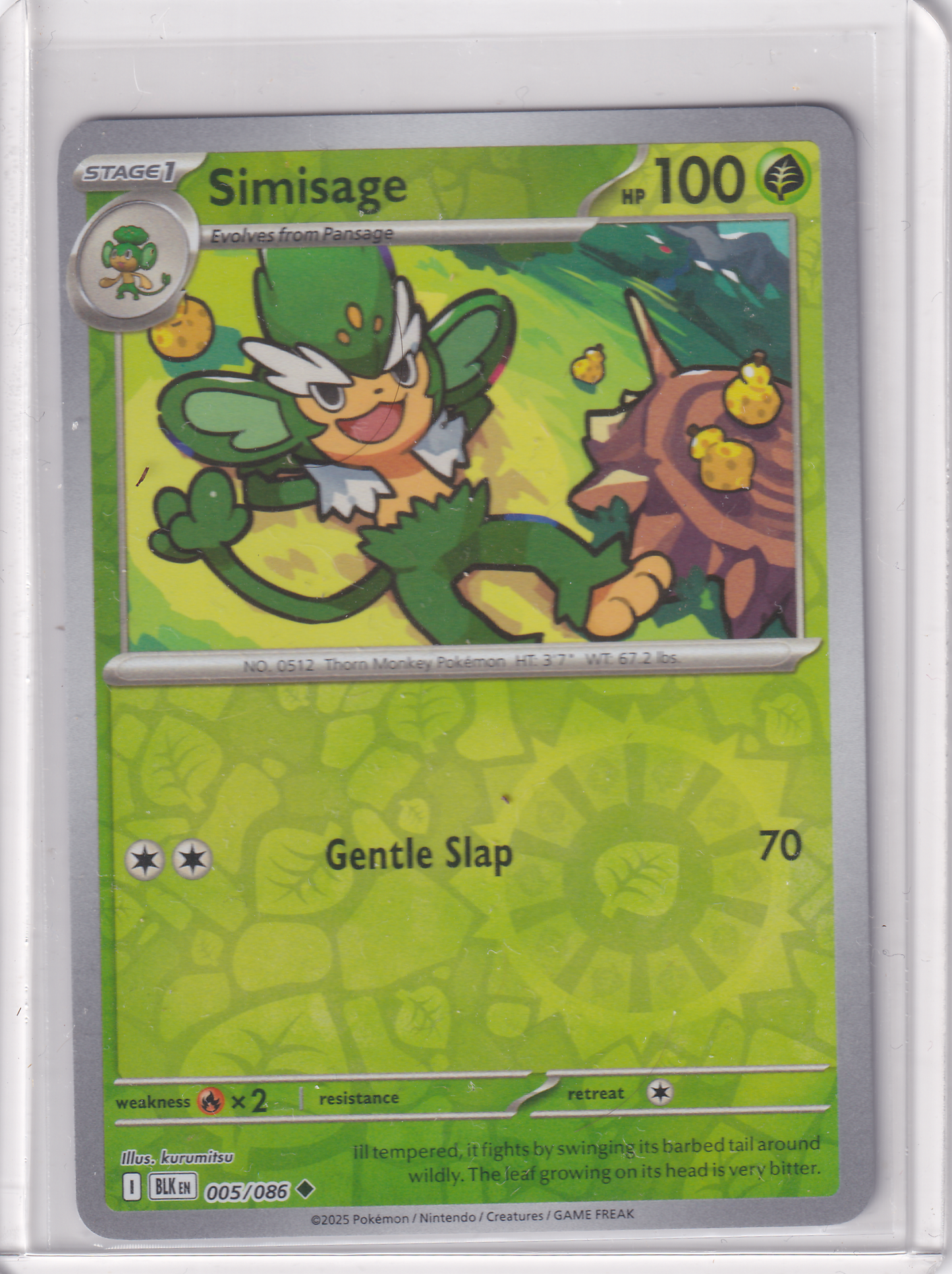 #005 Simisage