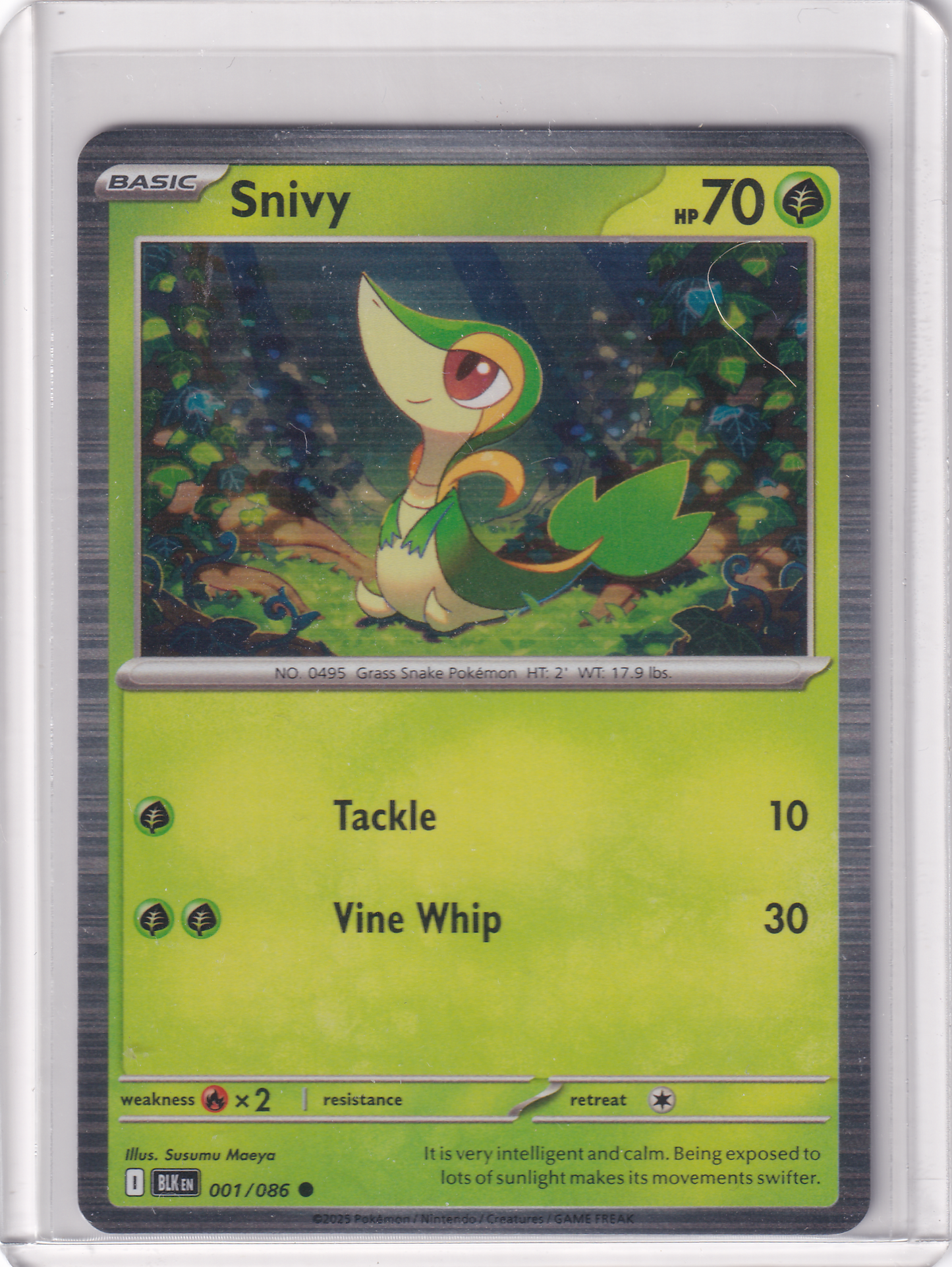 #001 Snivy