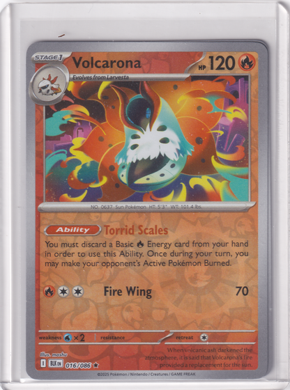 #016 Volcarona