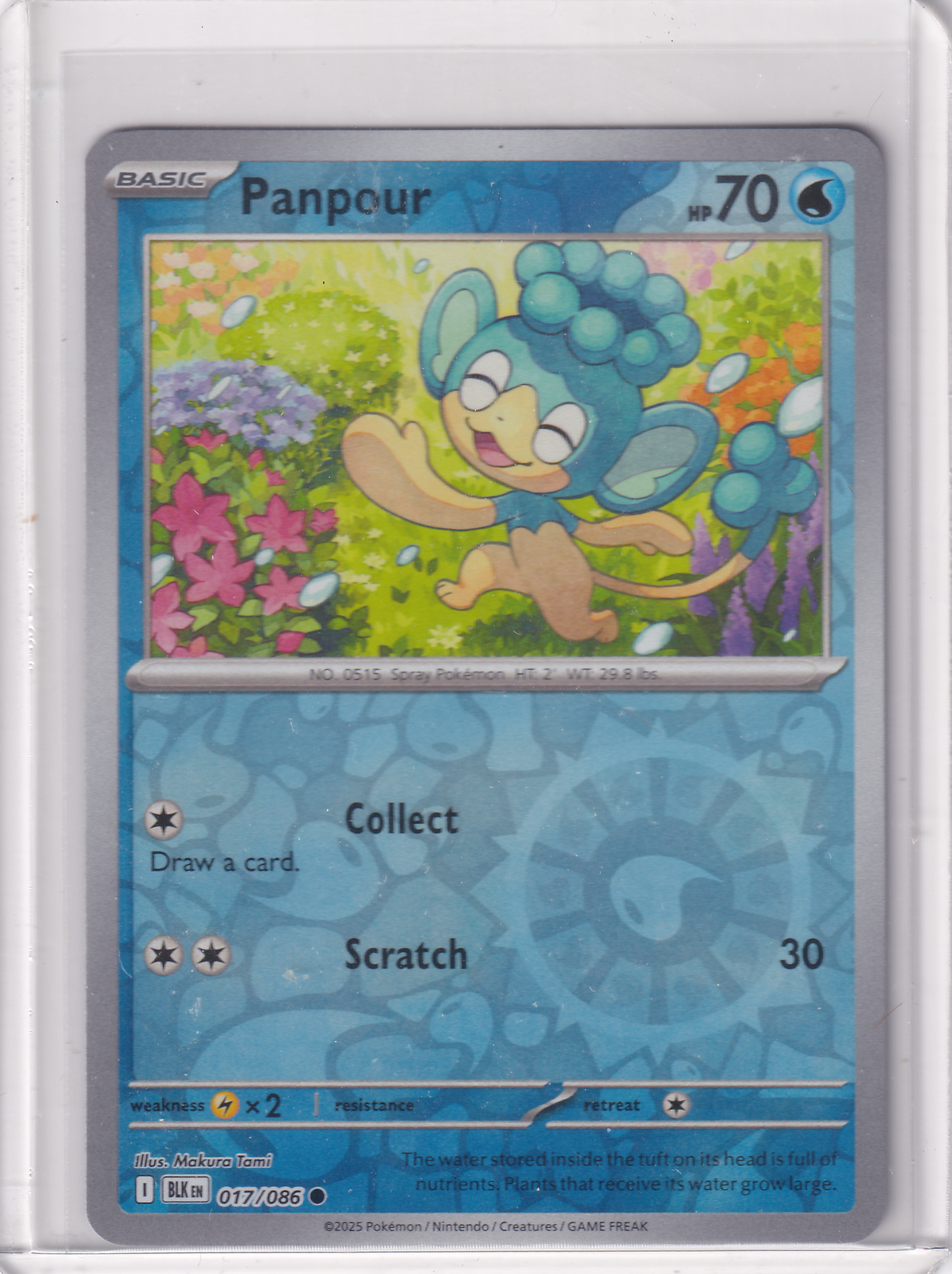 #017 Panpour