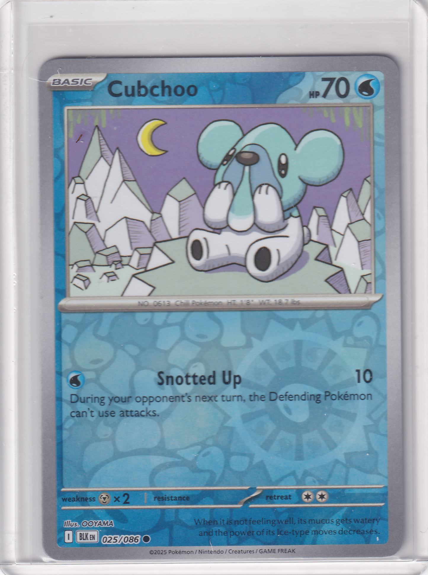 #025 Cubchoo