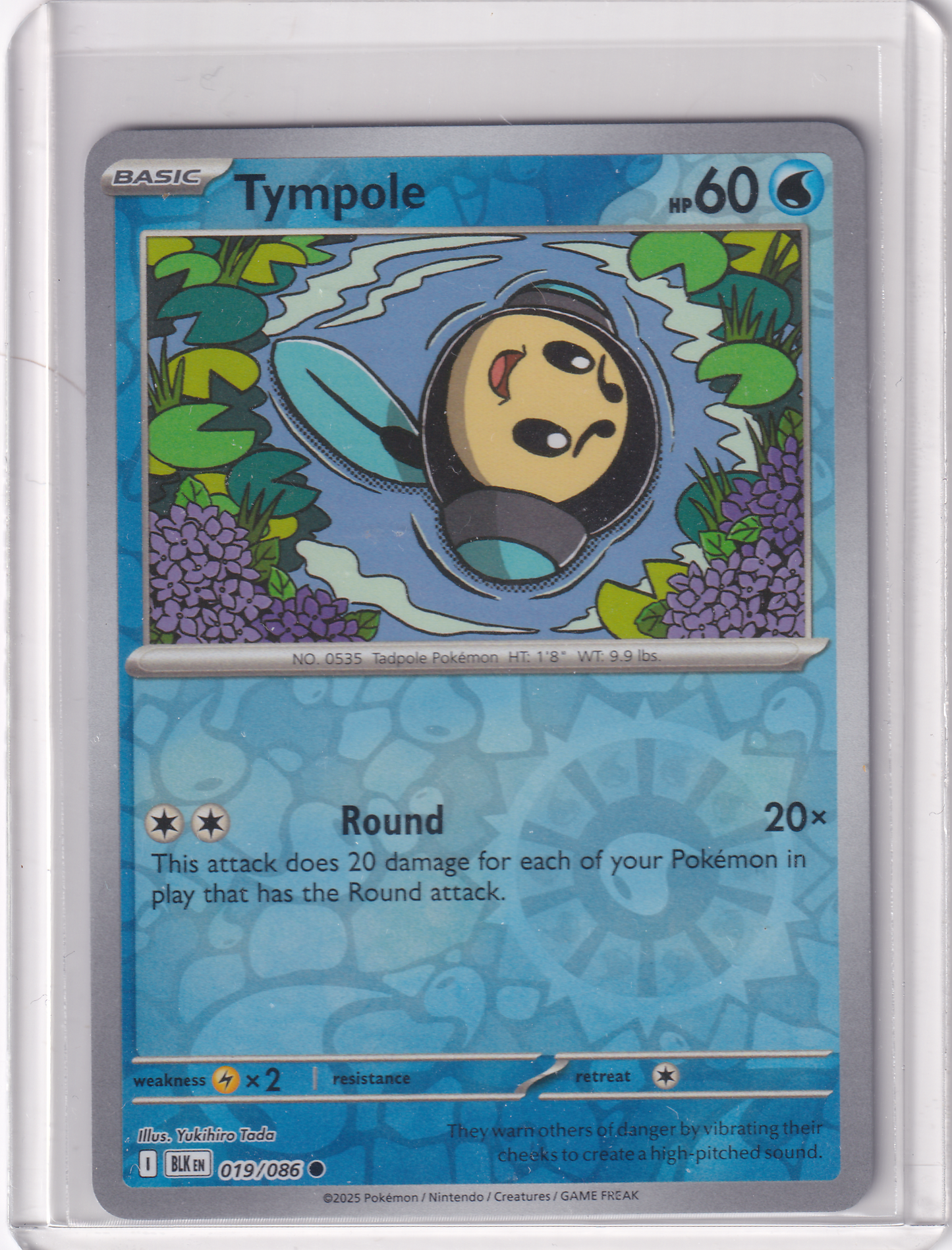 #019 Tympole