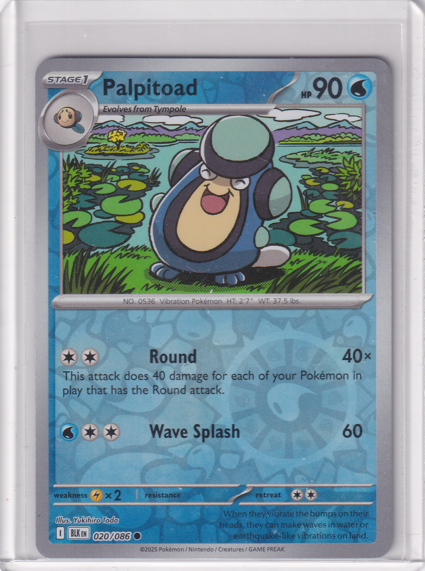 #020 Palpitoad