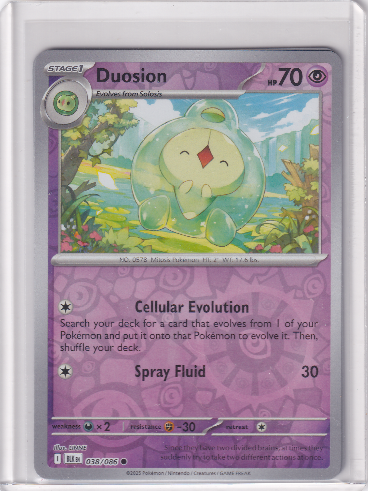 #038 Duosion