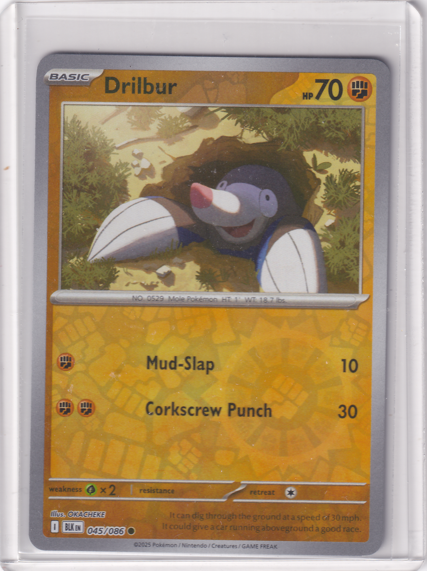 #045 Drilbur