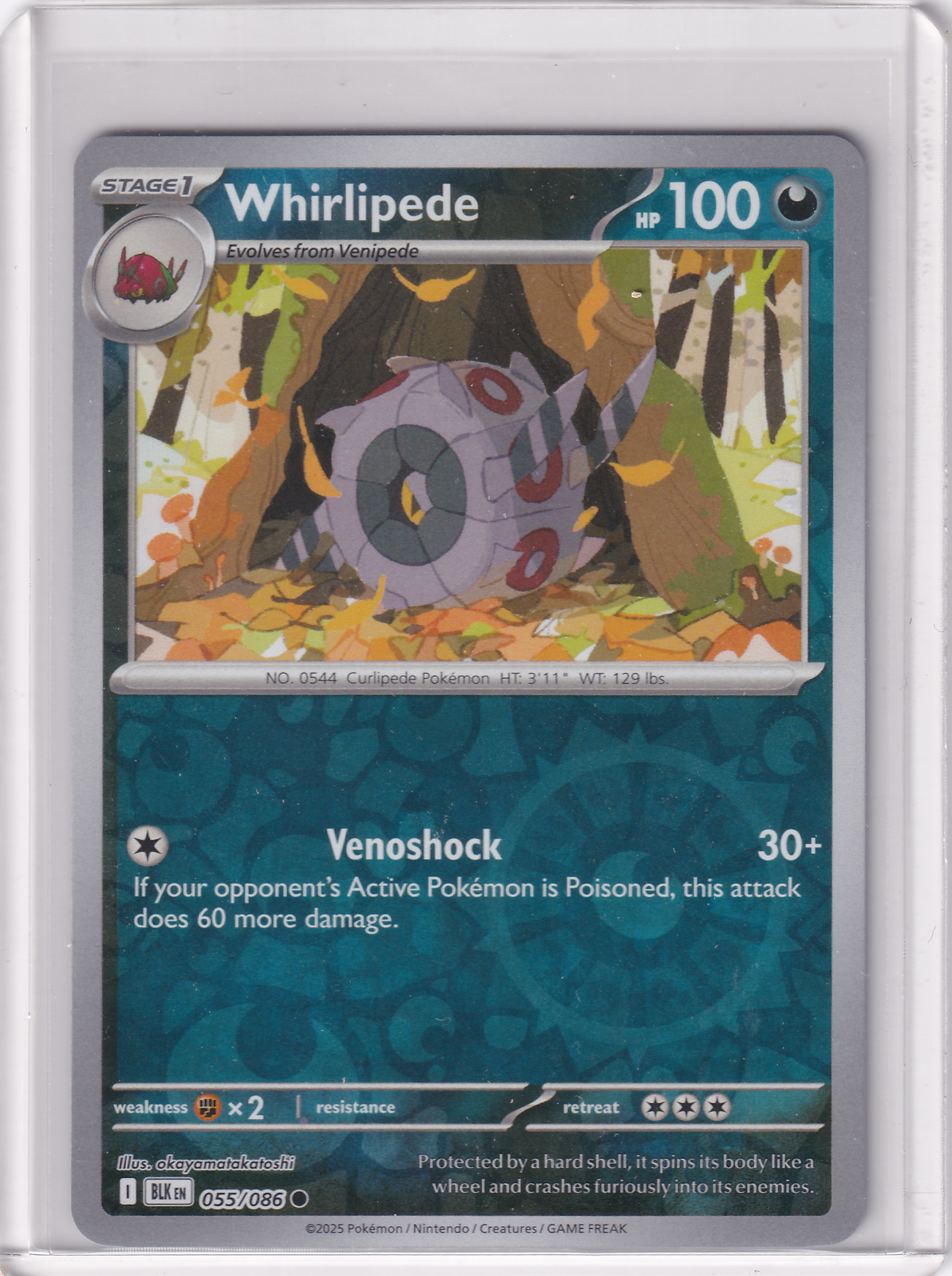 #055 Whirlipede