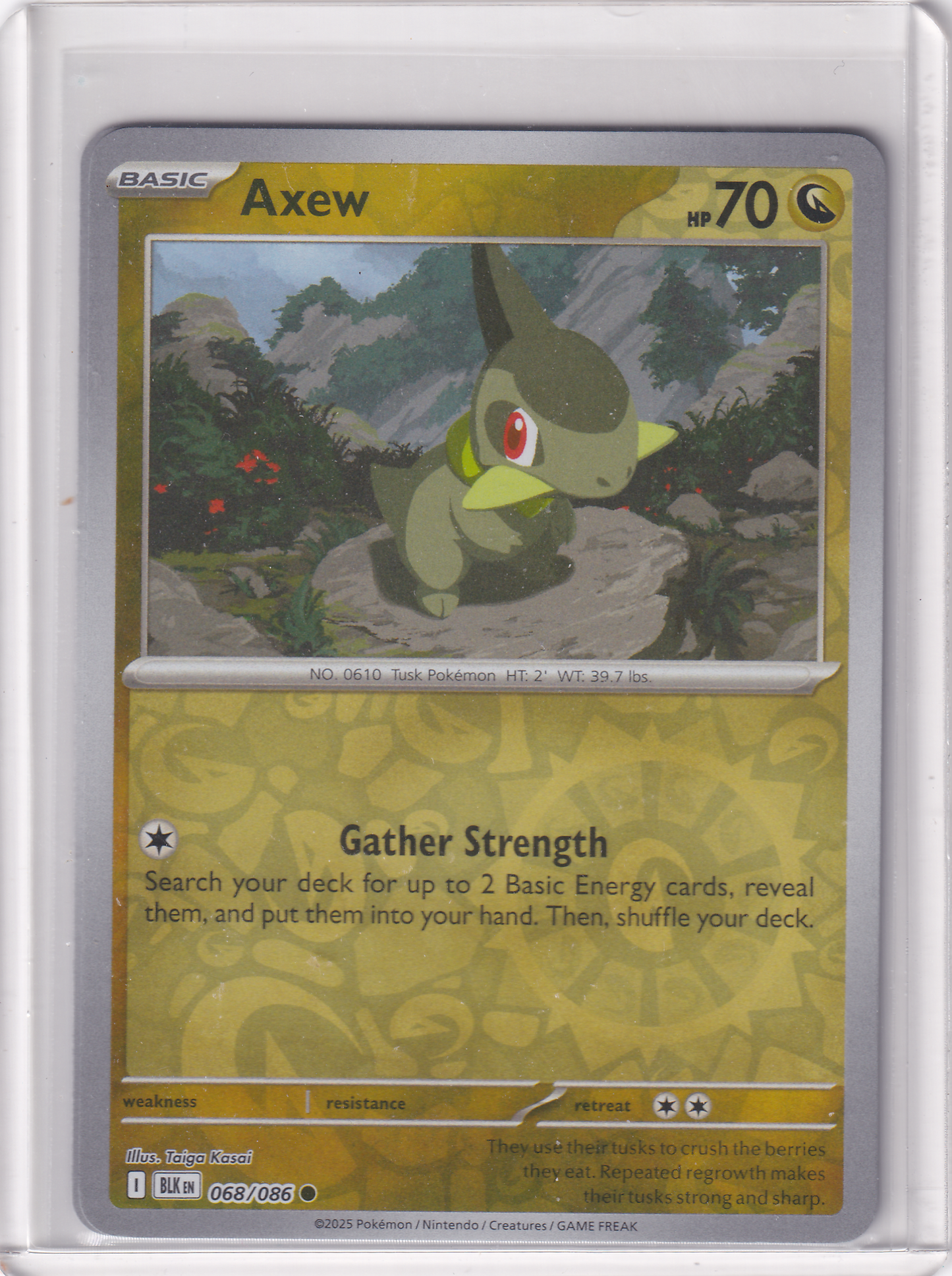 #068 Axew