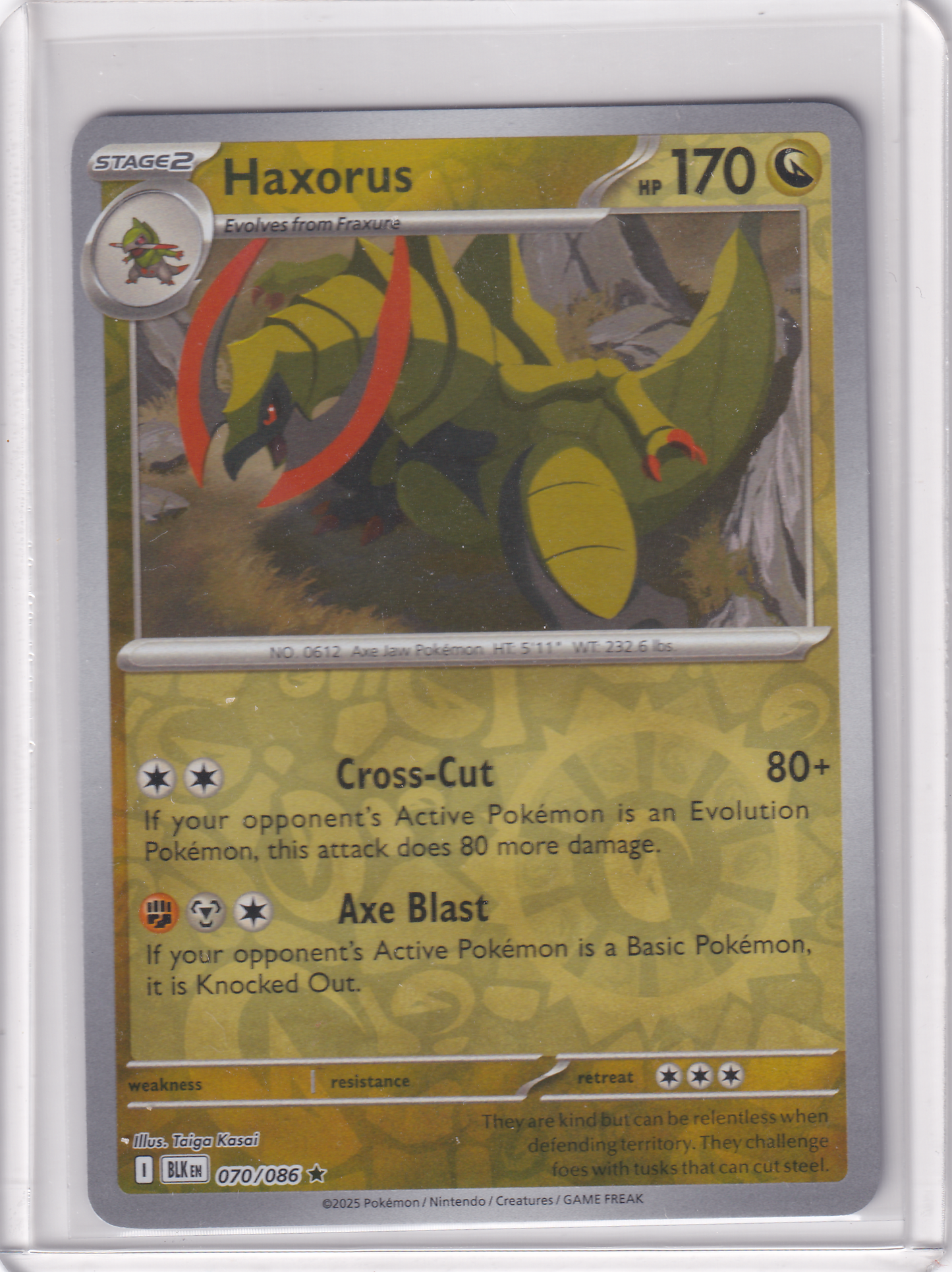#070 Haxorus