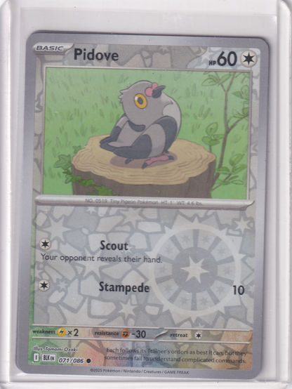 #071 Pidove
