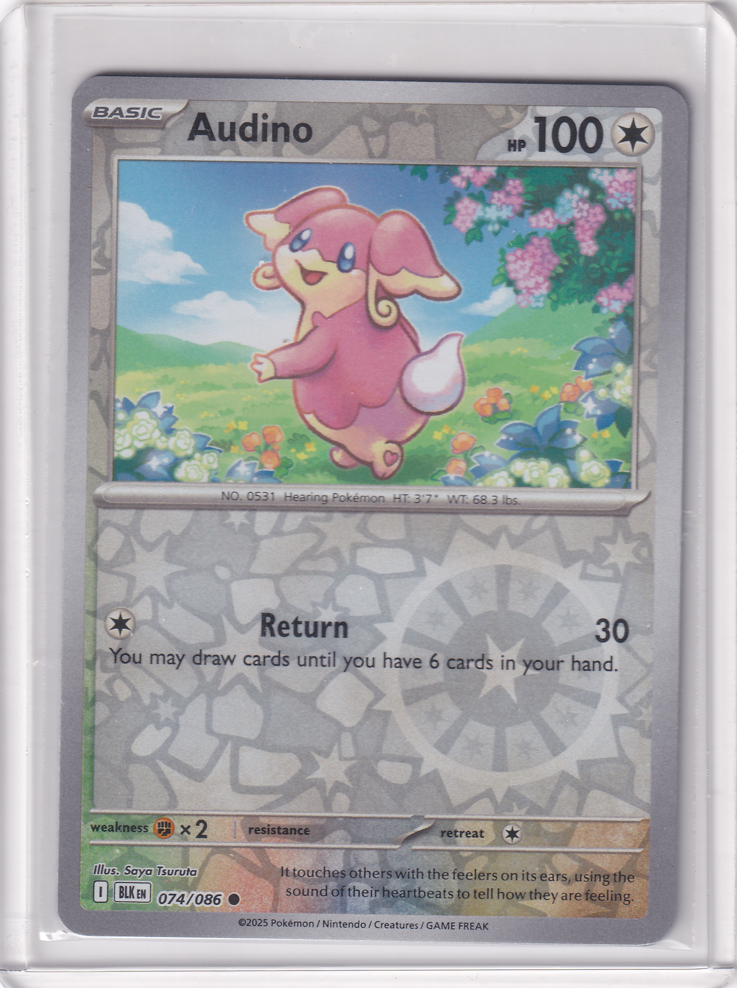 #074 Audino