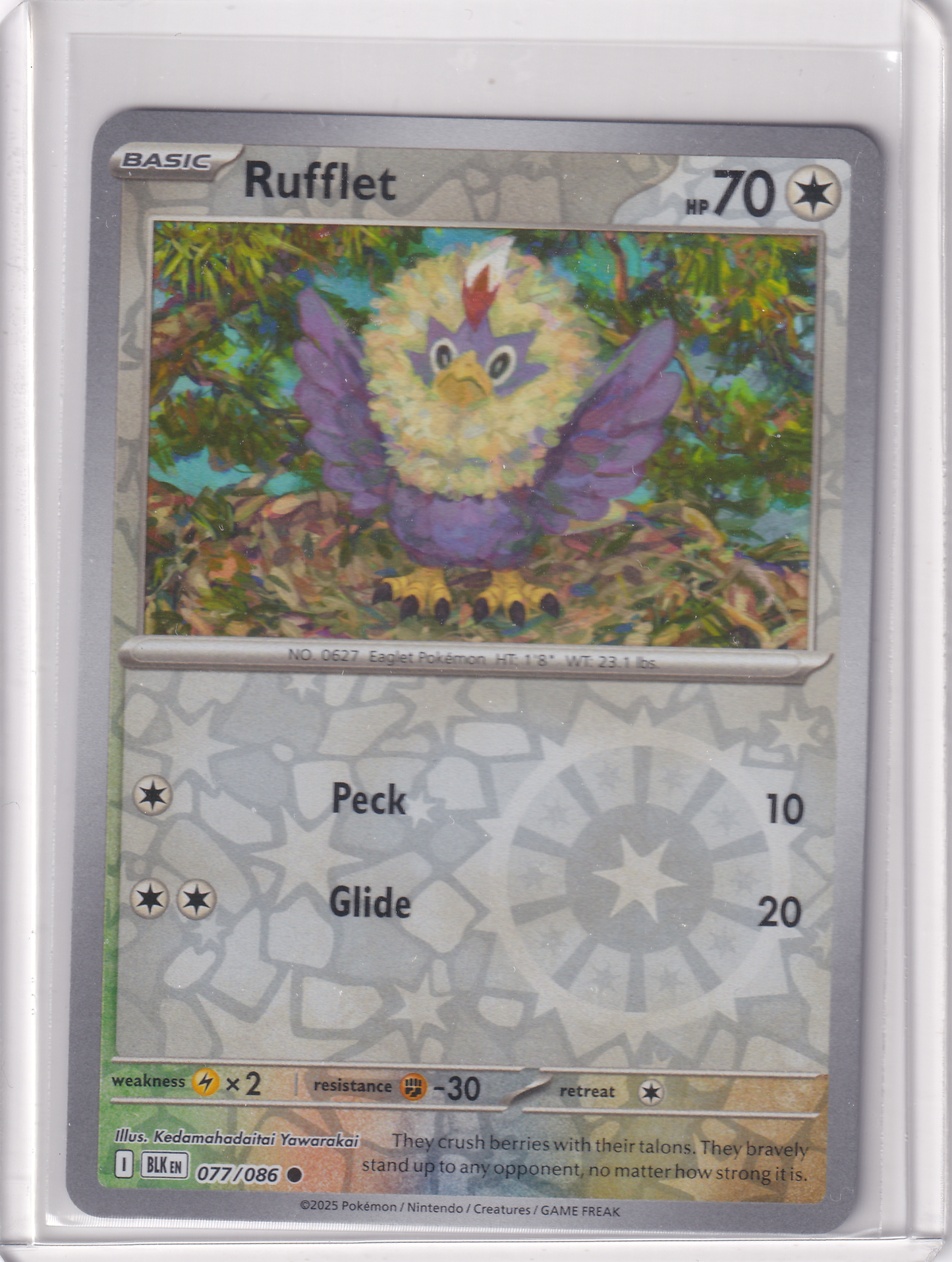 #077 Rufflet