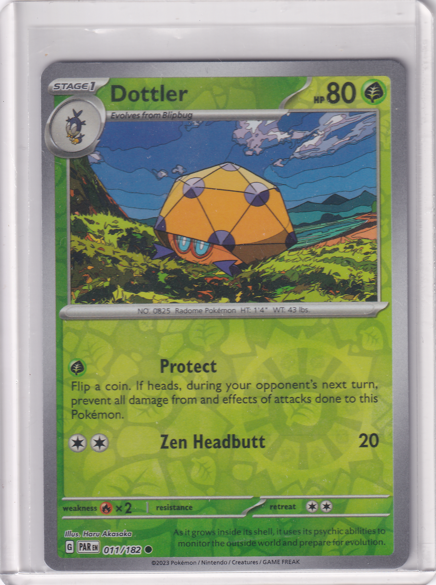 #011 Dottler