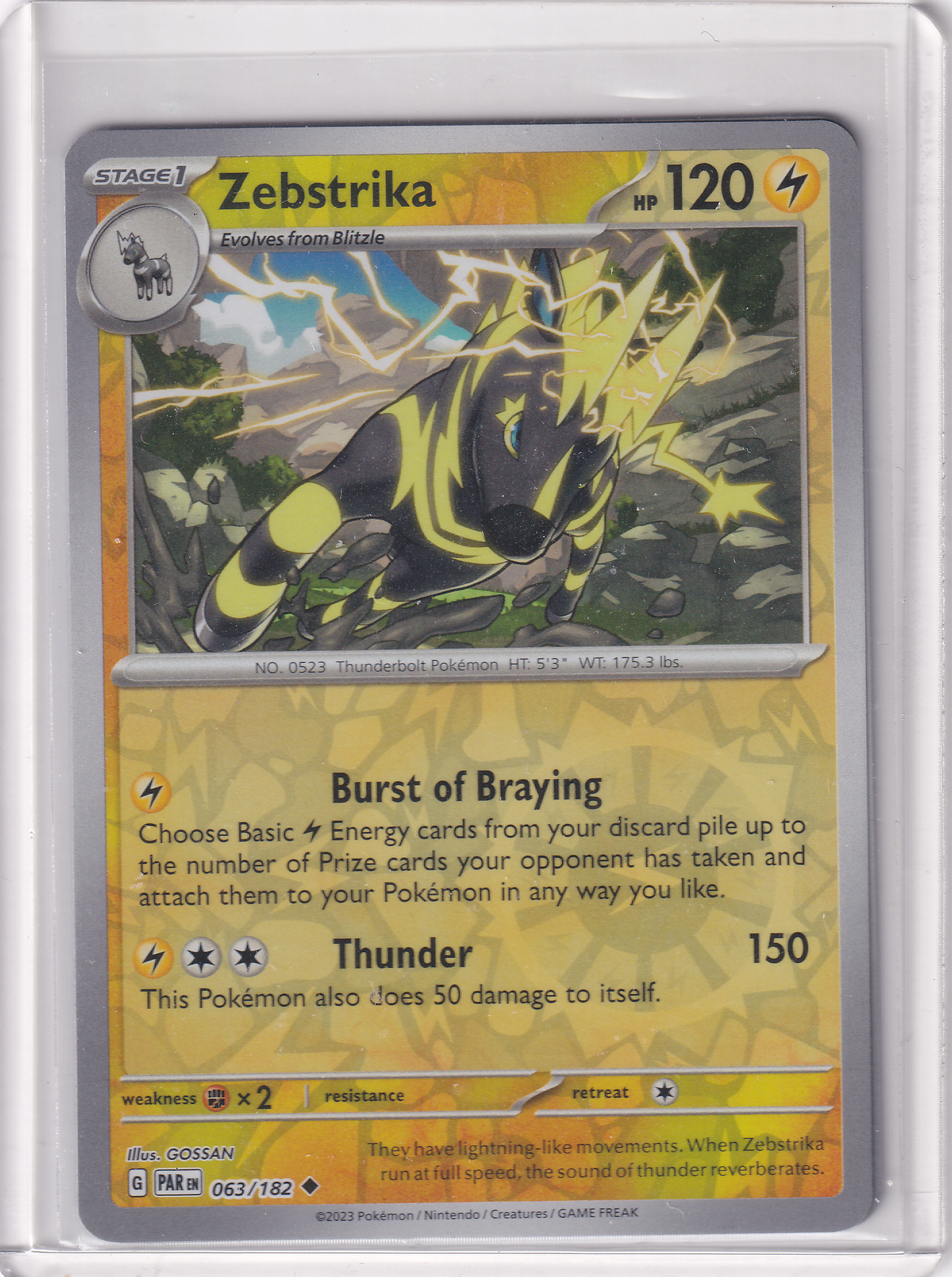 #063 Zebstrika