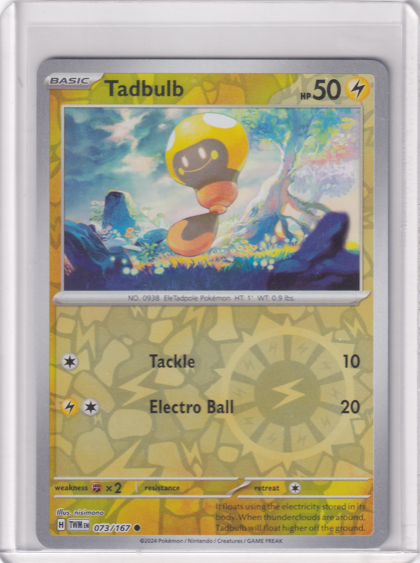 #073 Tadbulb