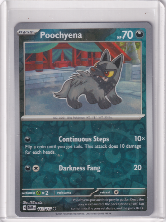 #113 Poochyena