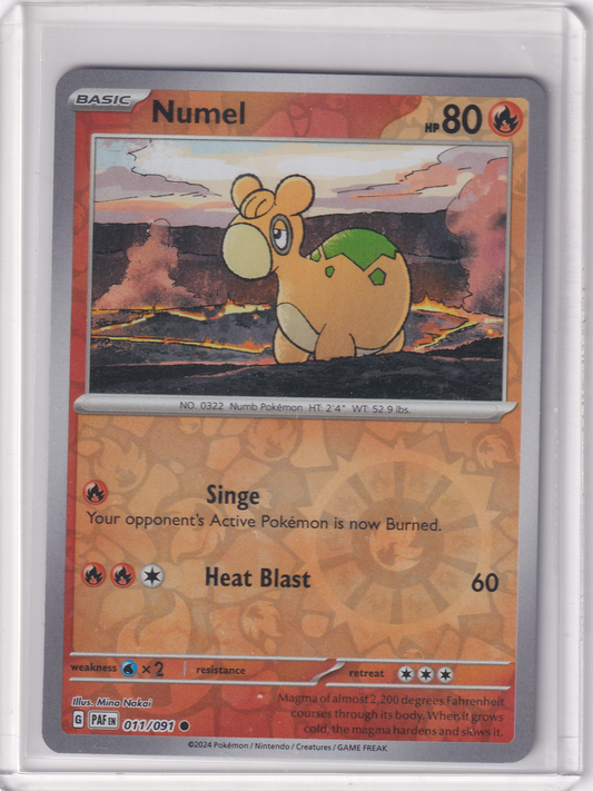 #011 Numel