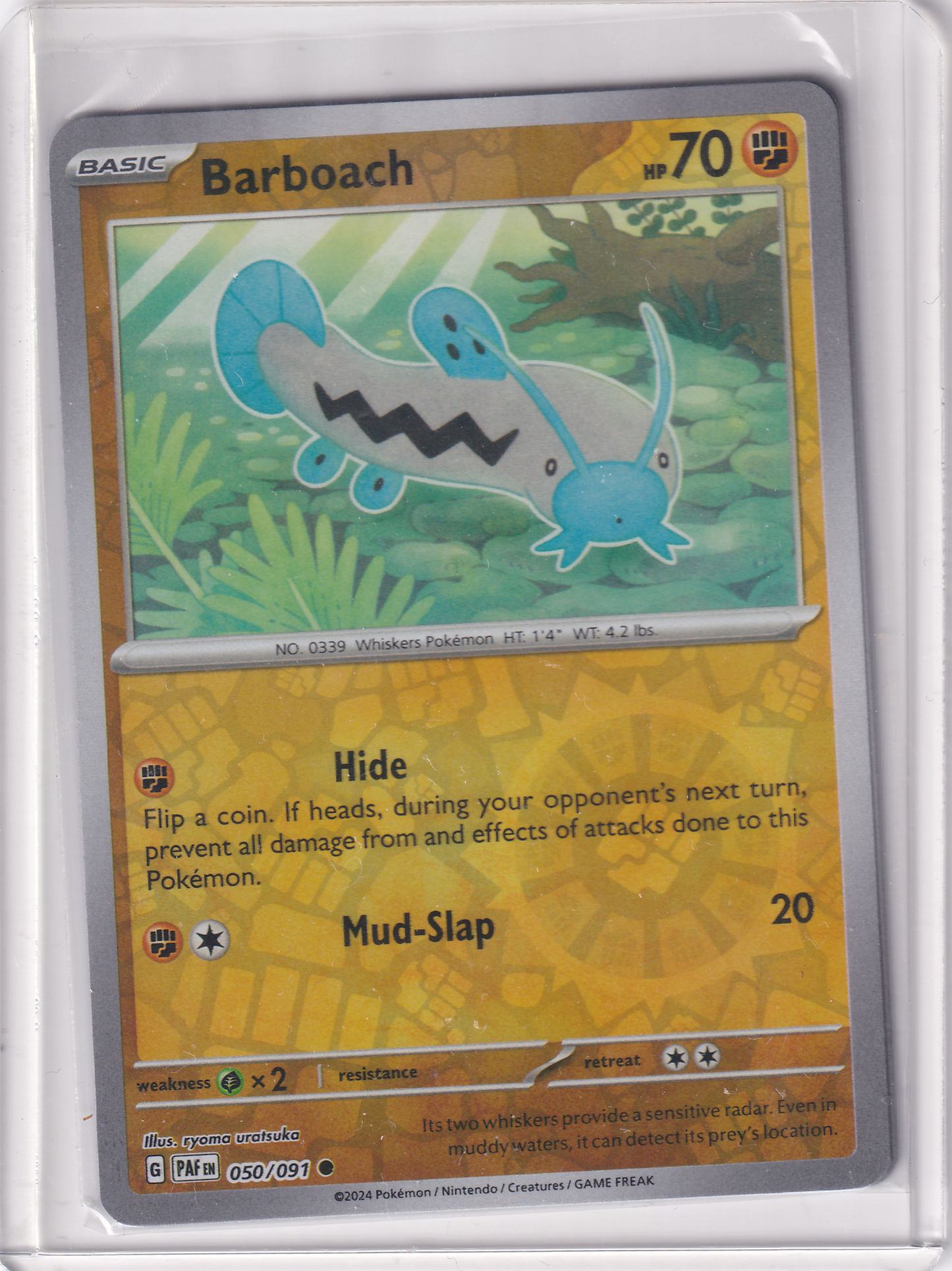 #050 Barboach