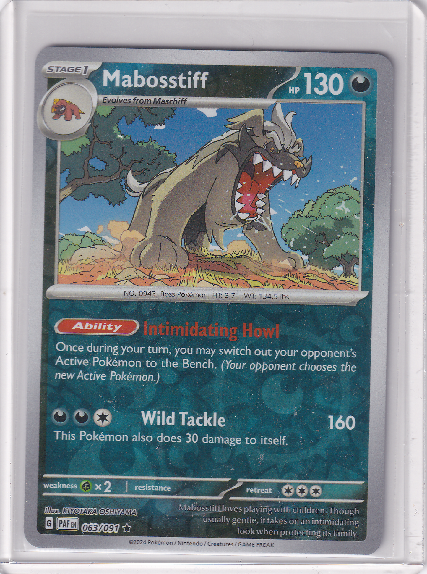 #063 Mabosstiff