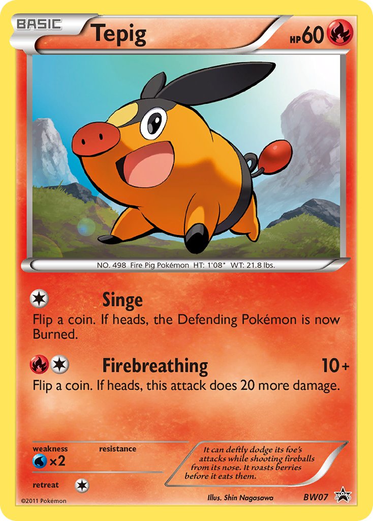 #BW07 Tepig