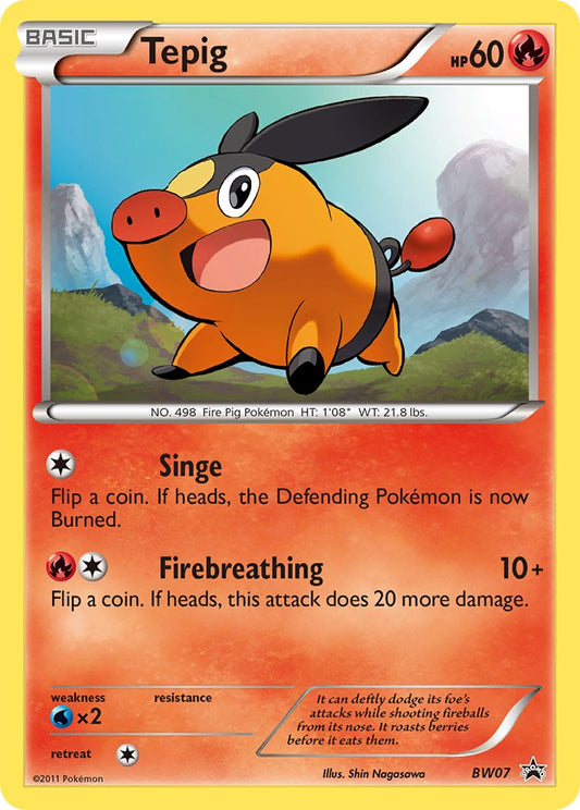 #BW07 Tepig