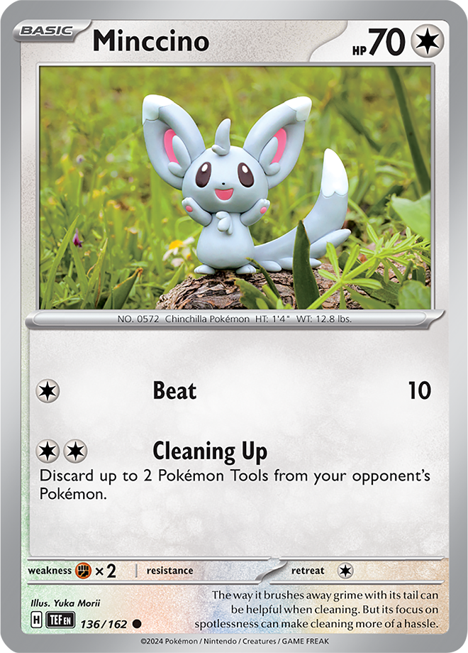 #136 Minccino