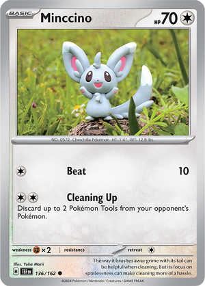 #136 Minccino