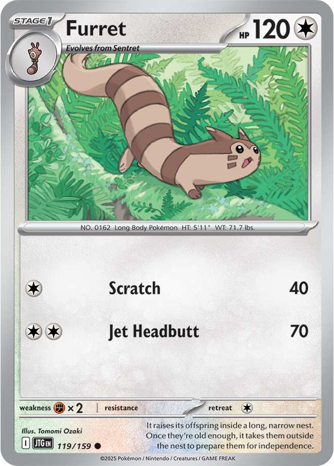#119 Furret