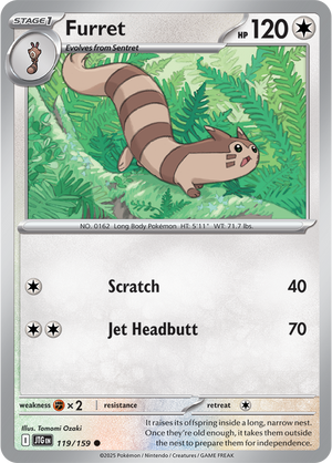 #119 Furret