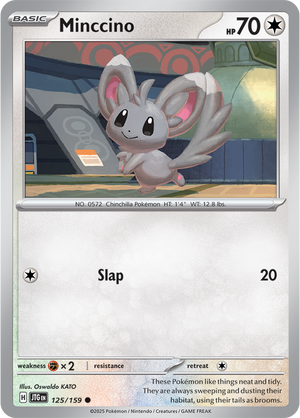 #125 Minccino