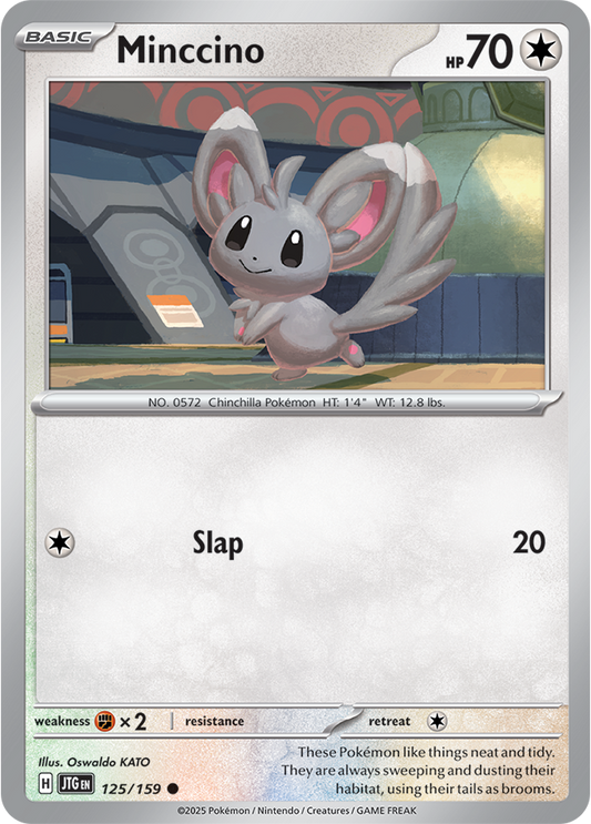 #125 Minccino