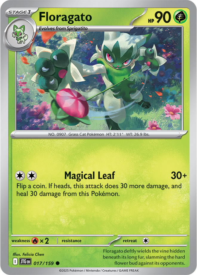 #017 Floragato