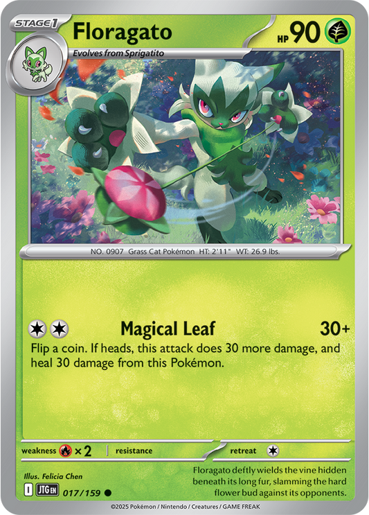 #017 Floragato
