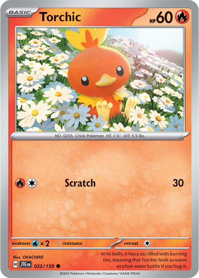 #022 Torchic