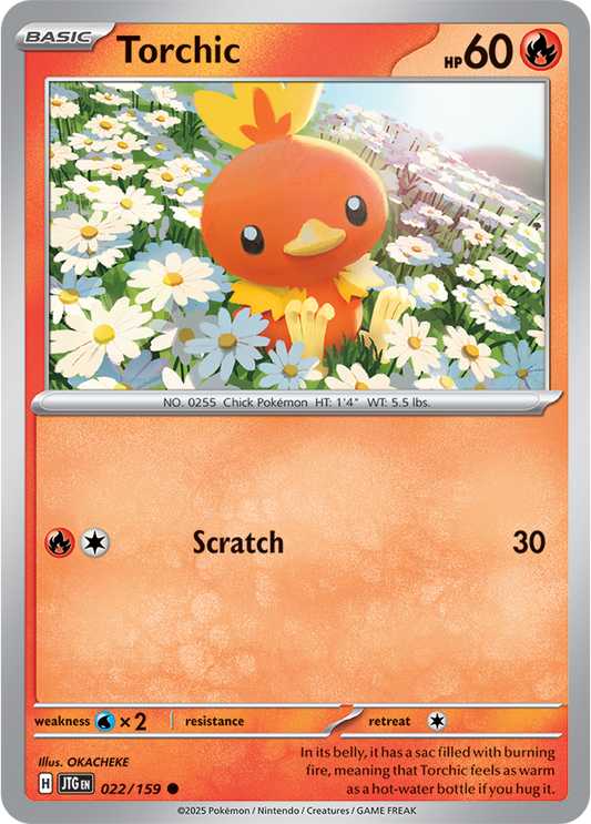 #022 Torchic